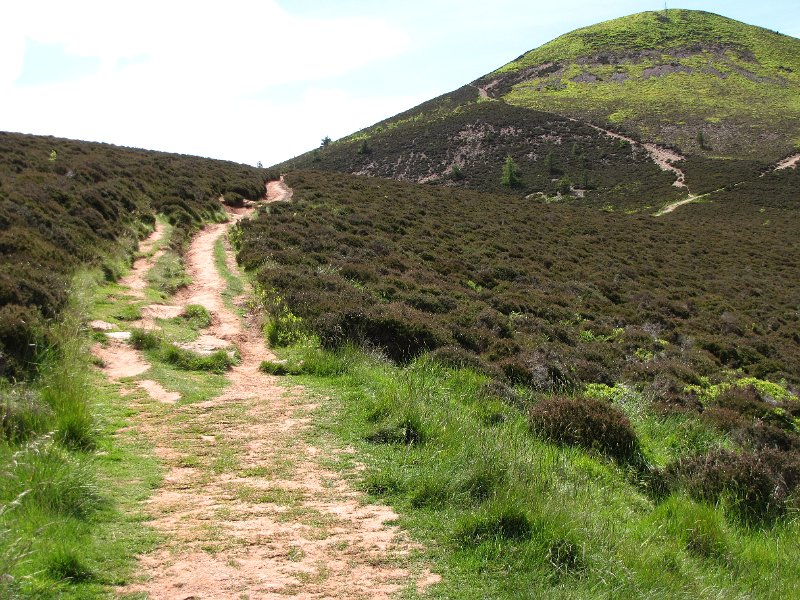 eildon hills_pad omhoog.jpg - Het wandelpad tussen de Eildon hills.